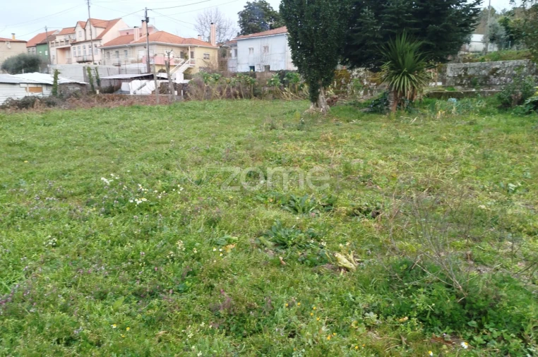 Terreno para Venda em Tavares (Chãs, Várzea e Travanca) Foto 15