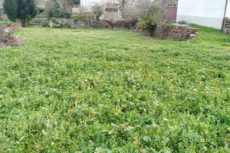 Terreno para Venda em Tavares (Chãs, Várzea e Travanca) Foto 18