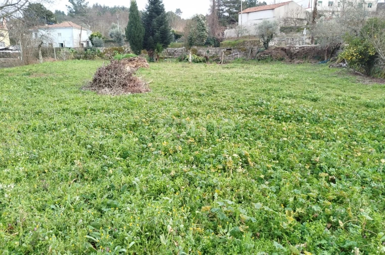 Terreno para Venda em Tavares (Chãs, Várzea e Travanca) Foto 7