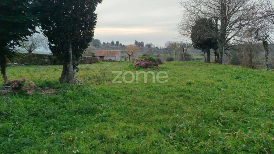 Terreno para Venda em Tavares (Chãs, Várzea e Travanca)