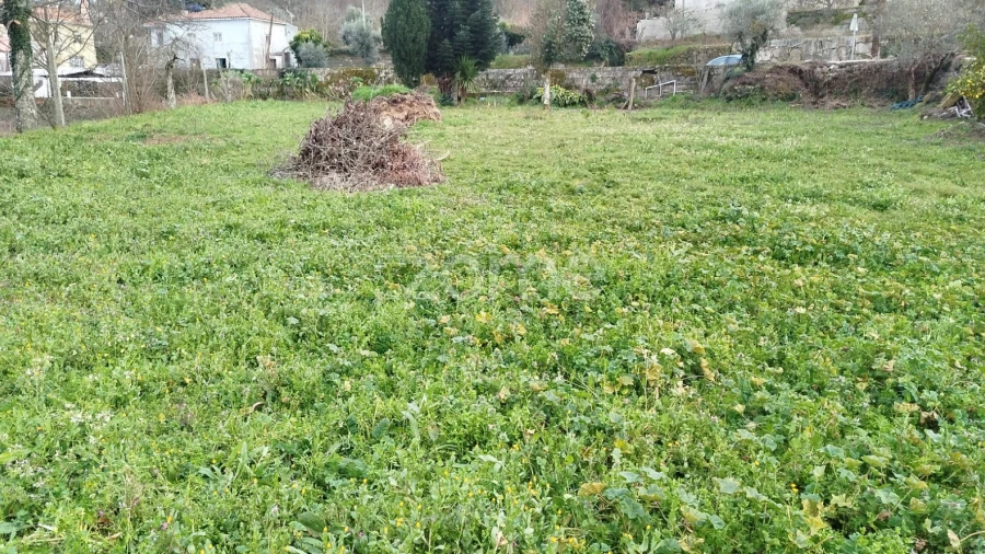 Terreno para Venda em Tavares (Chãs, Várzea e Travanca)