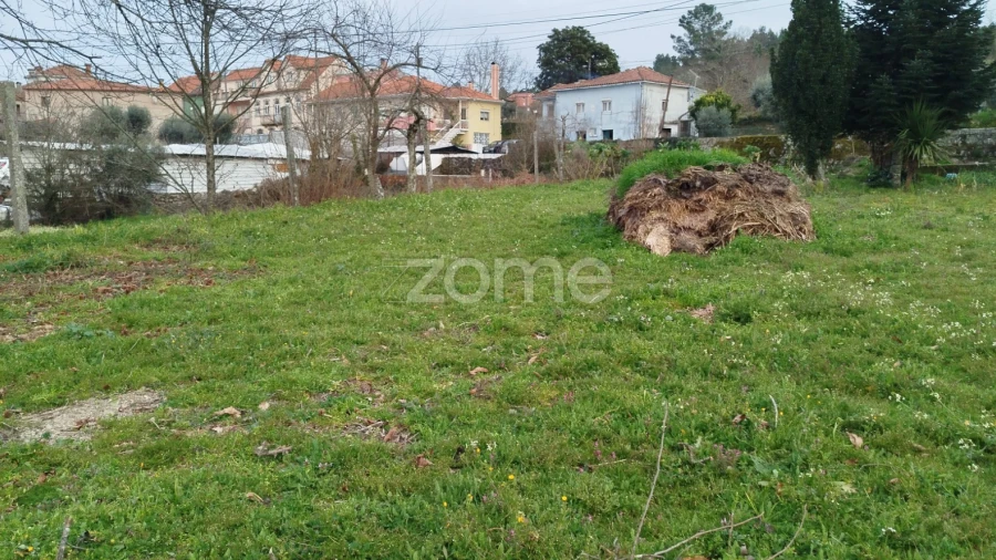 Terreno para Venda em Tavares (Chãs, Várzea e Travanca)