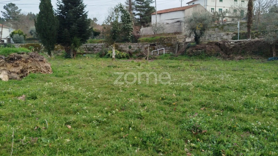 Terreno para Venda em Tavares (Chãs, Várzea e Travanca)