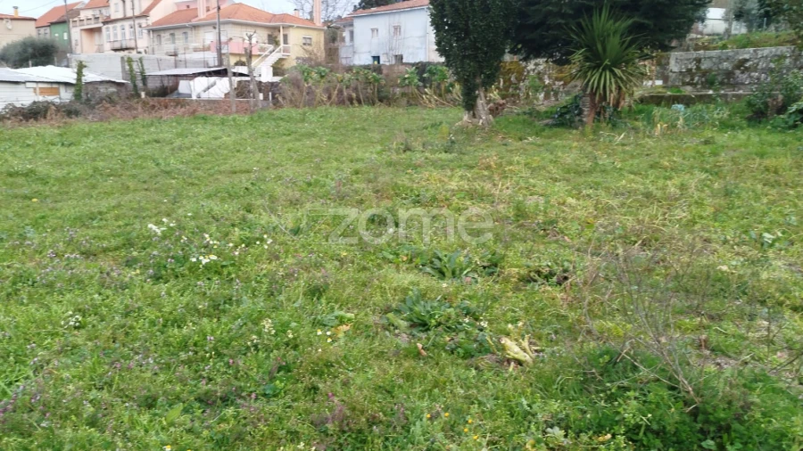 Terreno para Venda em Tavares (Chãs, Várzea e Travanca)