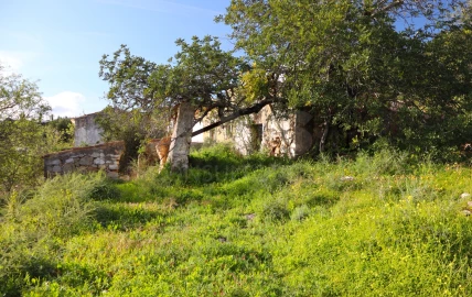Terreno para Venda em Conceição e Estoi