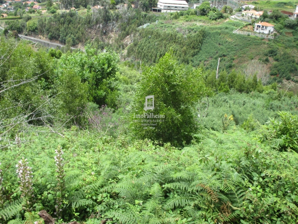 Terreno para Venda em São Gonçalo Foto 7