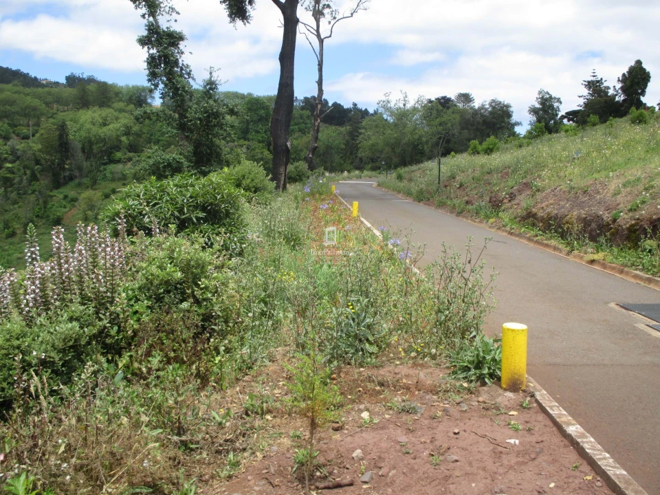 Terreno para Venda em São Gonçalo Foto 4