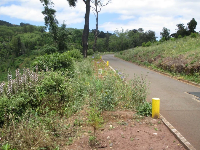 Terreno para Venda em São Gonçalo Foto 4