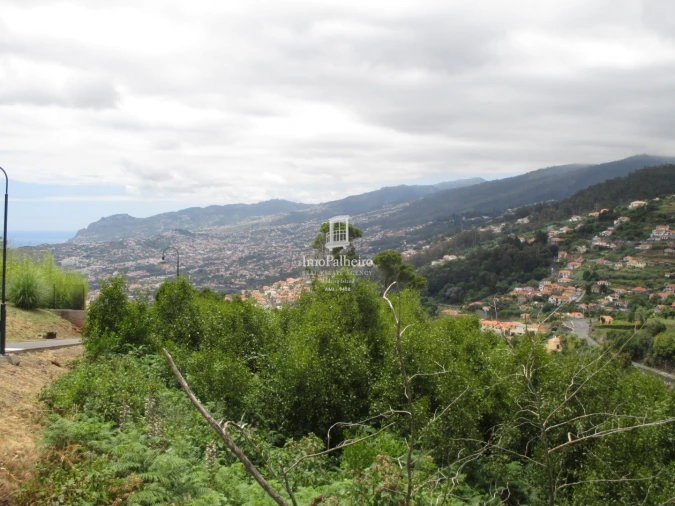 Terreno para Venda em São Gonçalo Foto 5