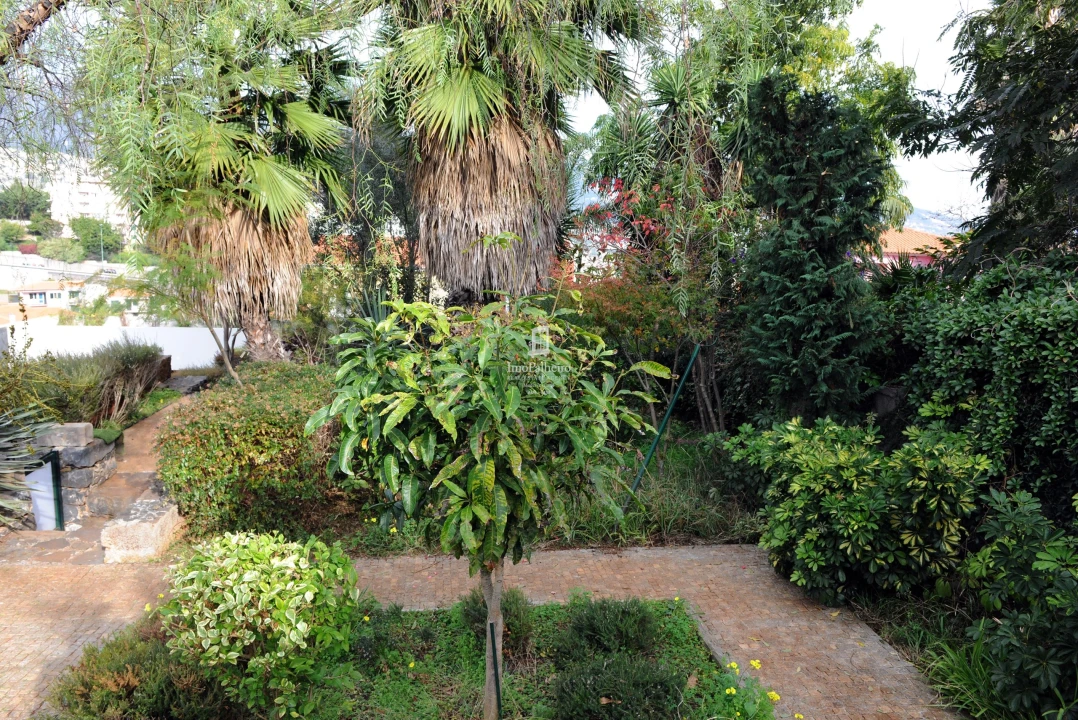 Moradia T5 para Venda em São Martinho Foto 56