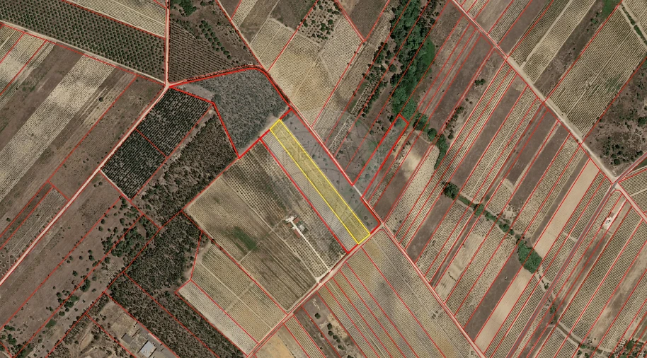 Terreno para Venda em Alpiarça