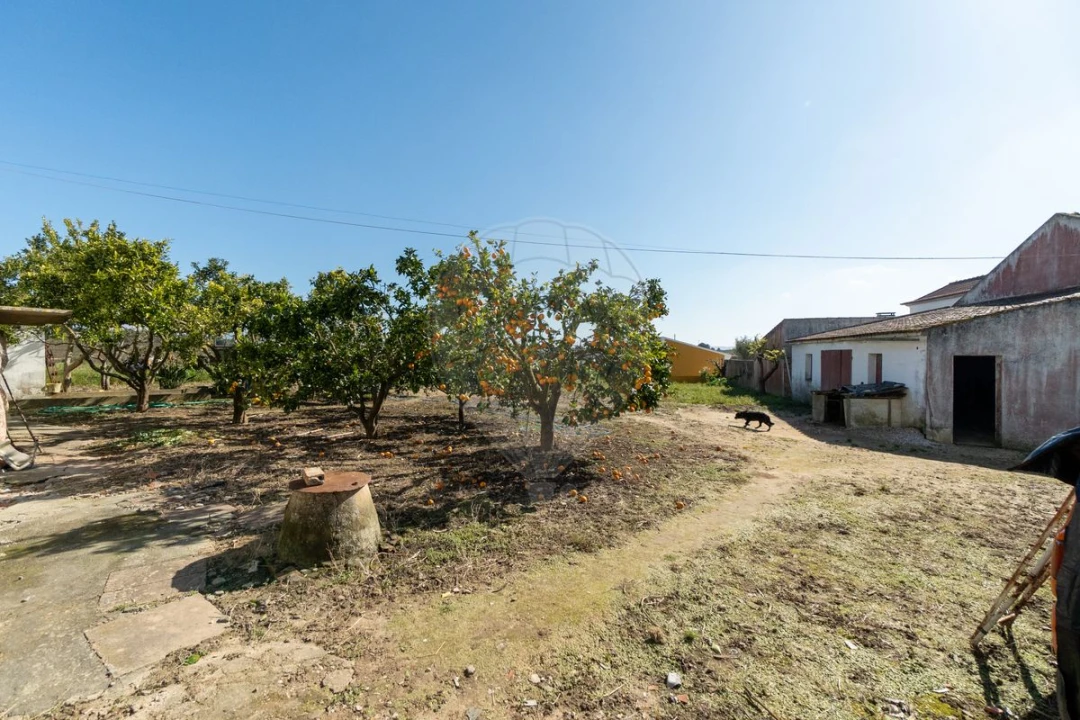 Quinta T4 para Venda em Aldeia Galega da Merceana e Aldeia Gavinha Foto 37
