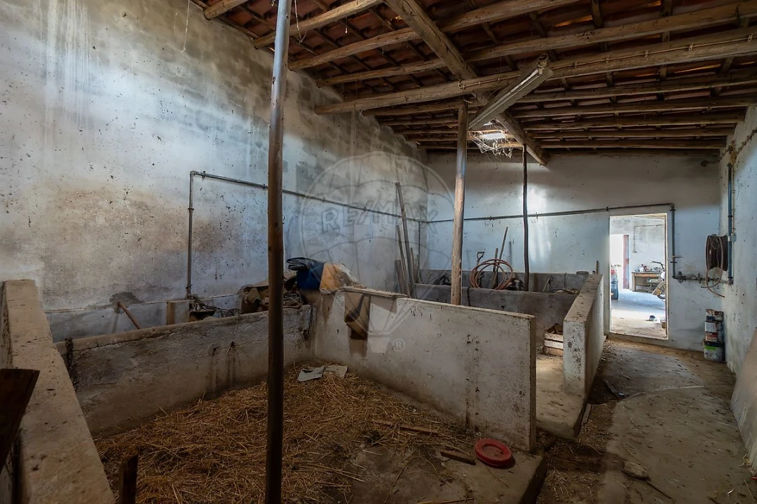 Quinta T4 para Venda em Aldeia Galega da Merceana e Aldeia Gavinha Foto 27