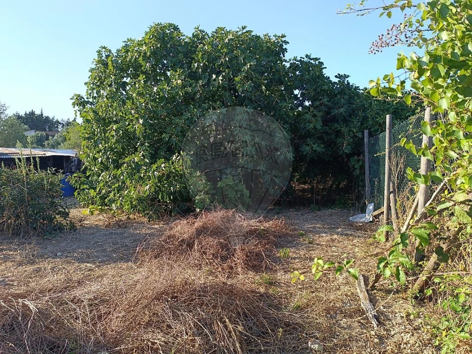 Moradia T4 para Venda em Cartaxo e Vale da Pinta Foto 12