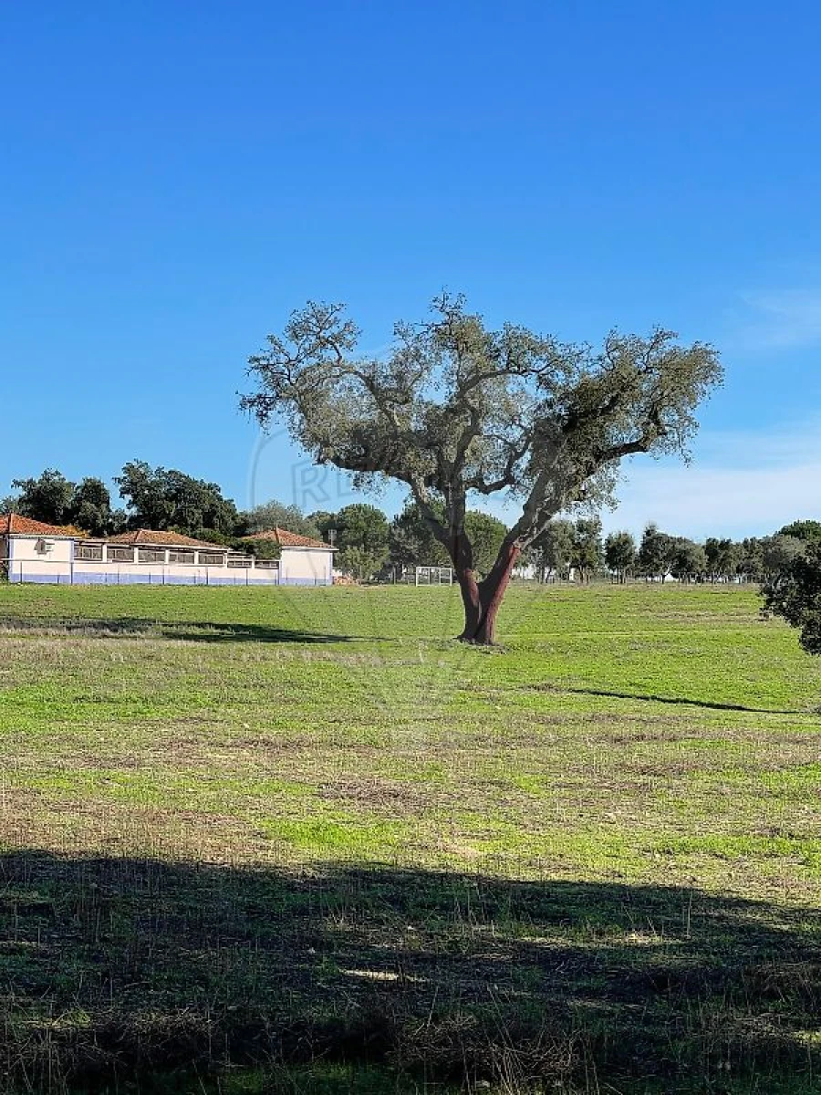 Terreno para Venda em Vimieiro Foto 2
