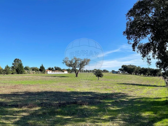 Terreno para Venda em Vimieiro