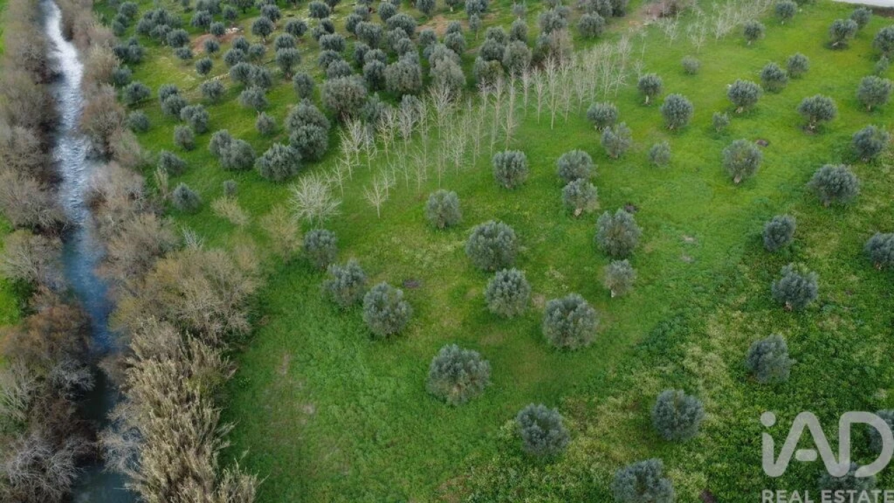 Terreno para Venda em Freixianda, Ribeira do Fárrio e Formigais Foto 24