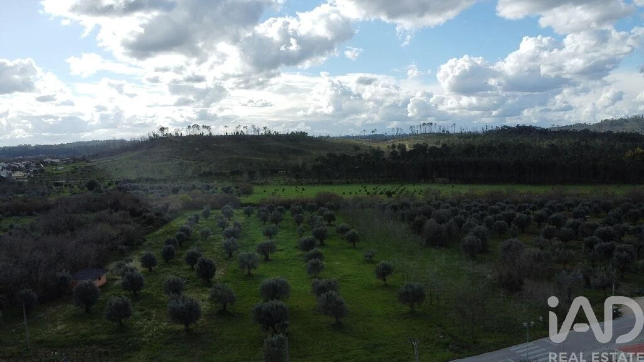 Terreno para Venda em Freixianda, Ribeira do Fárrio e Formigais Foto 20