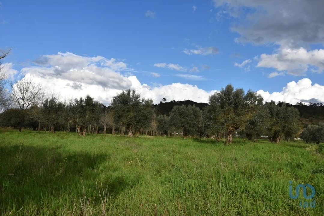 Terreno para Venda em Freixianda, Ribeira do Fárrio e Formigais Foto 11
