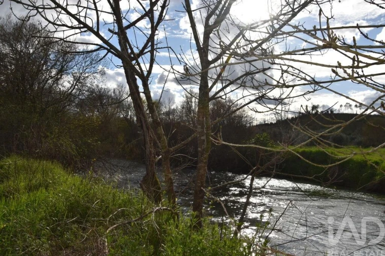 Terreno para Venda em Freixianda, Ribeira do Fárrio e Formigais Foto 19