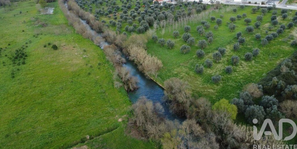 Terreno para Venda em Freixianda, Ribeira do Fárrio e Formigais Foto 22