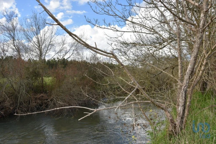 Terreno para Venda em Freixianda, Ribeira do Fárrio e Formigais Foto 2