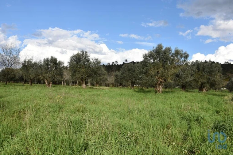 Terreno para Venda em Freixianda, Ribeira do Fárrio e Formigais Foto 8