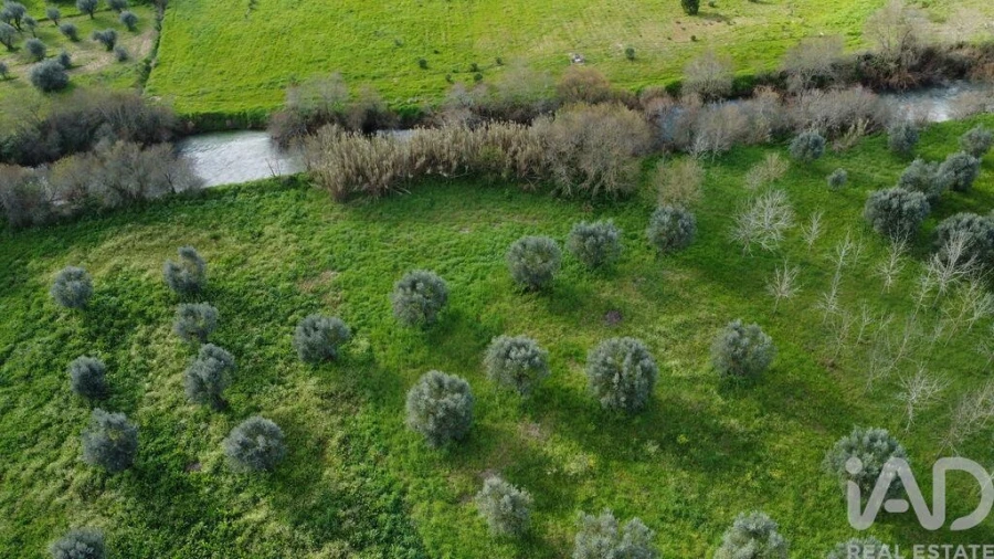 Terreno para Venda em Freixianda, Ribeira do Fárrio e Formigais Foto 25