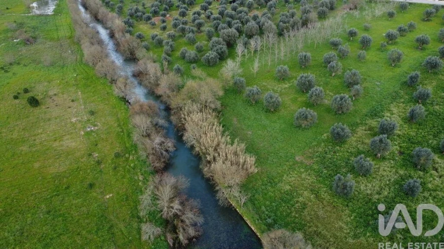 Terreno para Venda em Freixianda, Ribeira do Fárrio e Formigais Foto 23