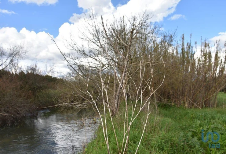 Terreno para Venda em Freixianda, Ribeira do Fárrio e Formigais Foto 1