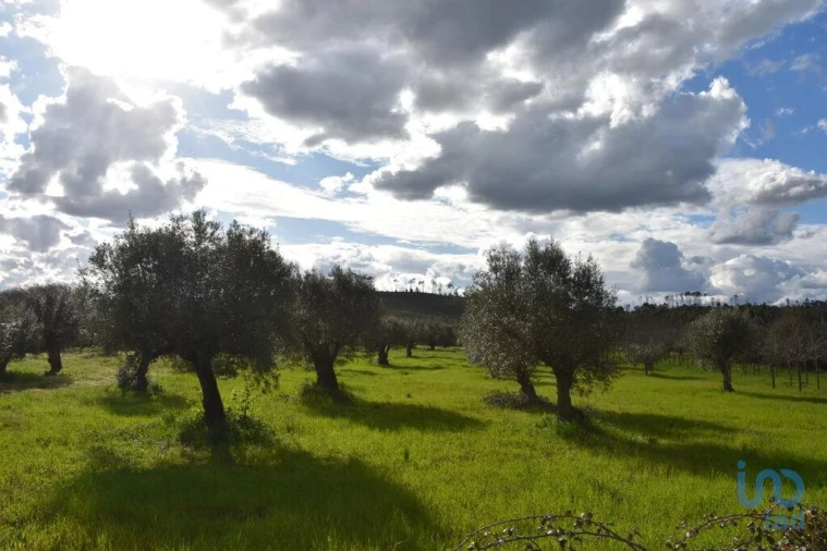 Terreno para Venda em Freixianda, Ribeira do Fárrio e Formigais Foto 10