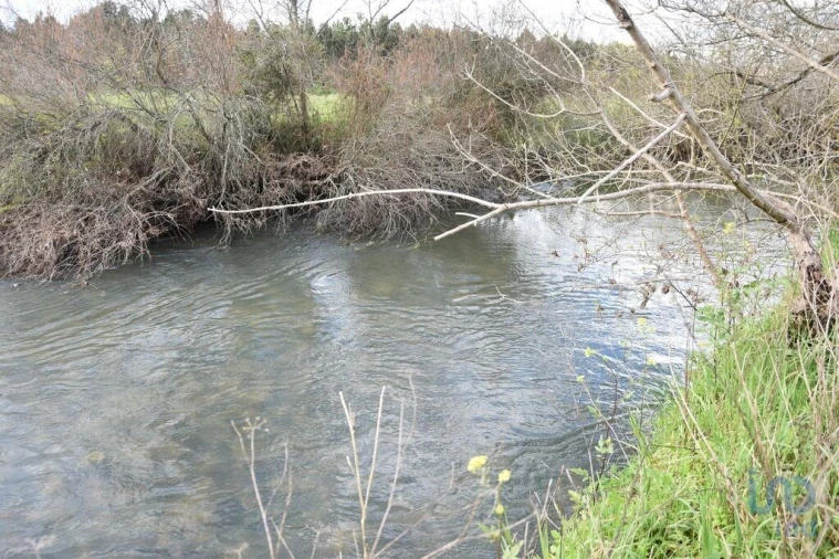 Terreno para Venda em Freixianda, Ribeira do Fárrio e Formigais Foto 4