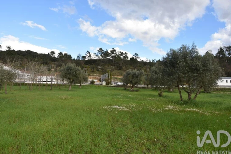 Terreno para Venda em Freixianda, Ribeira do Fárrio e Formigais Foto 17
