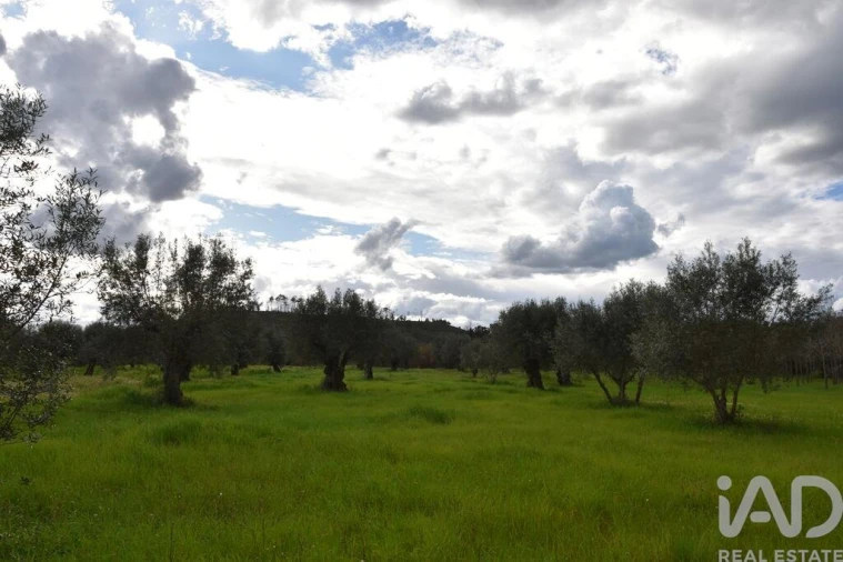 Terreno para Venda em Freixianda, Ribeira do Fárrio e Formigais Foto 16