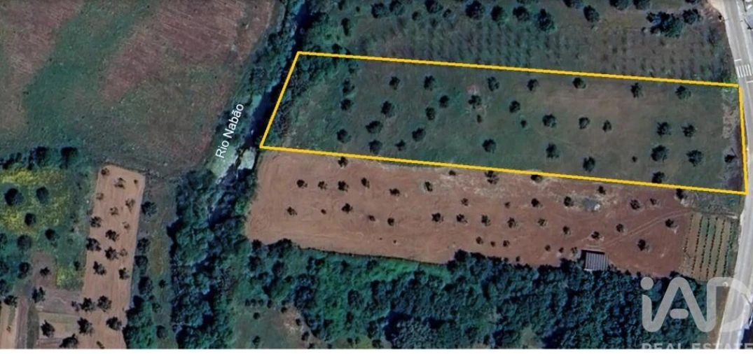 Terreno para Venda em Freixianda, Ribeira do Fárrio e Formigais Foto 26