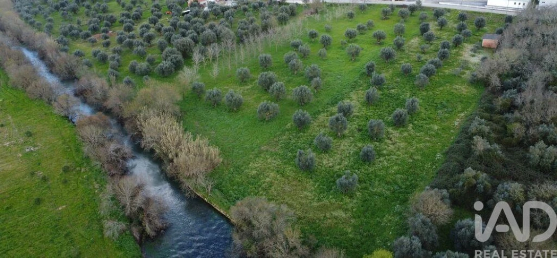 Terreno para Venda em Freixianda, Ribeira do Fárrio e Formigais Foto 21
