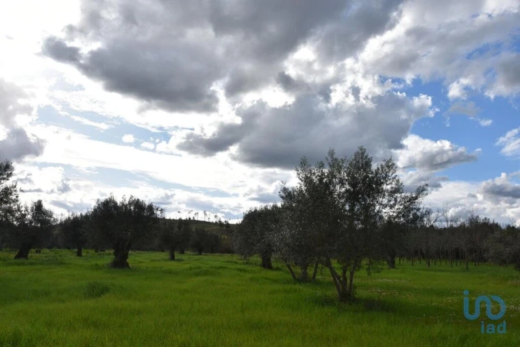 Terreno para Venda em Freixianda, Ribeira do Fárrio e Formigais Foto 12