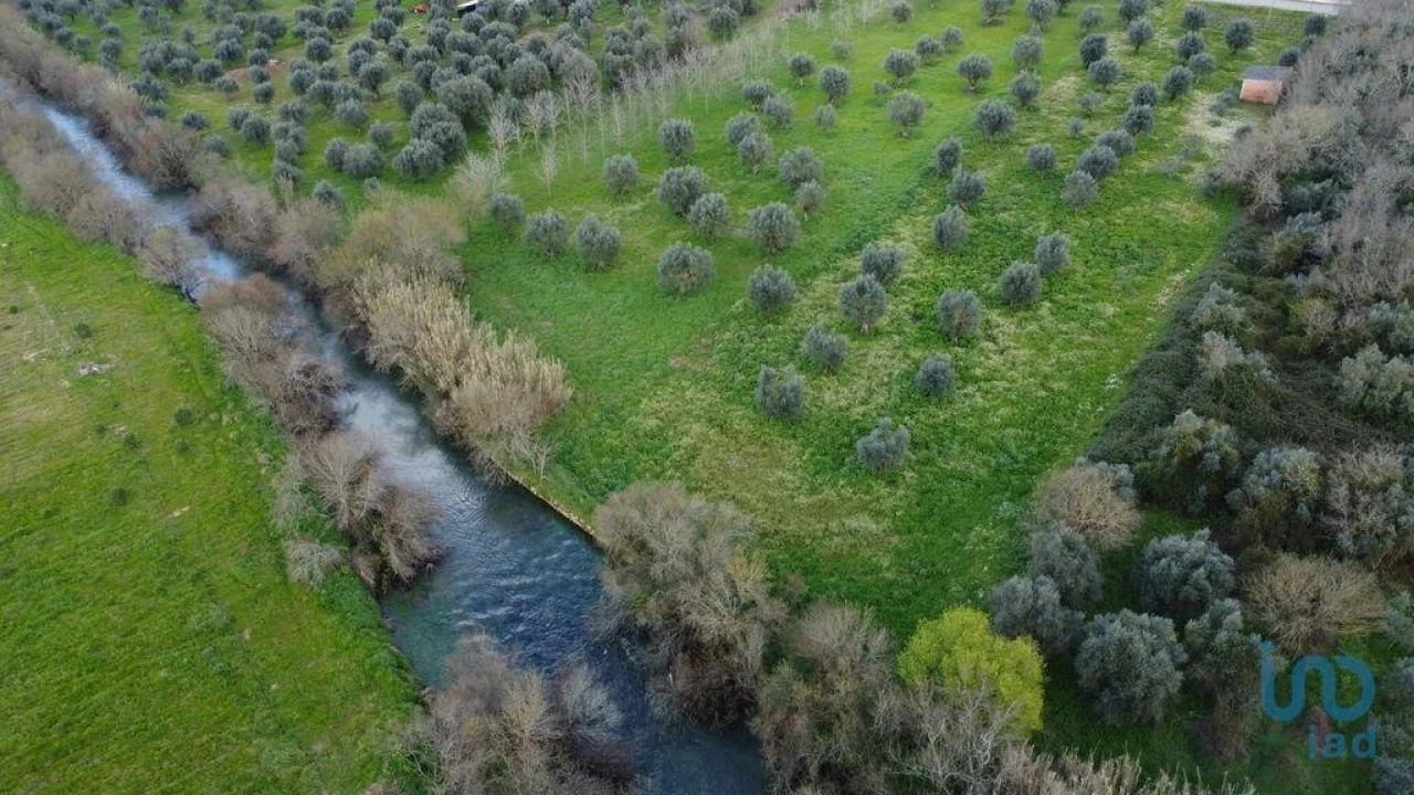Terreno para Venda em Freixianda, Ribeira do Fárrio e Formigais Foto 3