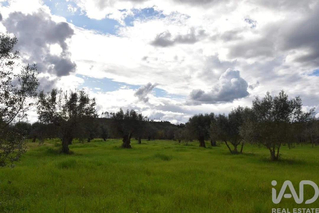 Terreno para Venda em Freixianda, Ribeira do Fárrio e Formigais Foto 16