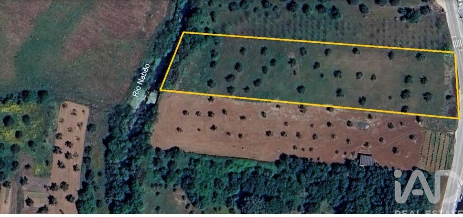 Terreno para Venda em Freixianda, Ribeira do Fárrio e Formigais Foto 26
