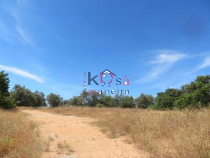 Terreno para Venda em Tavira (Santa Maria e Santiago) Foto 6