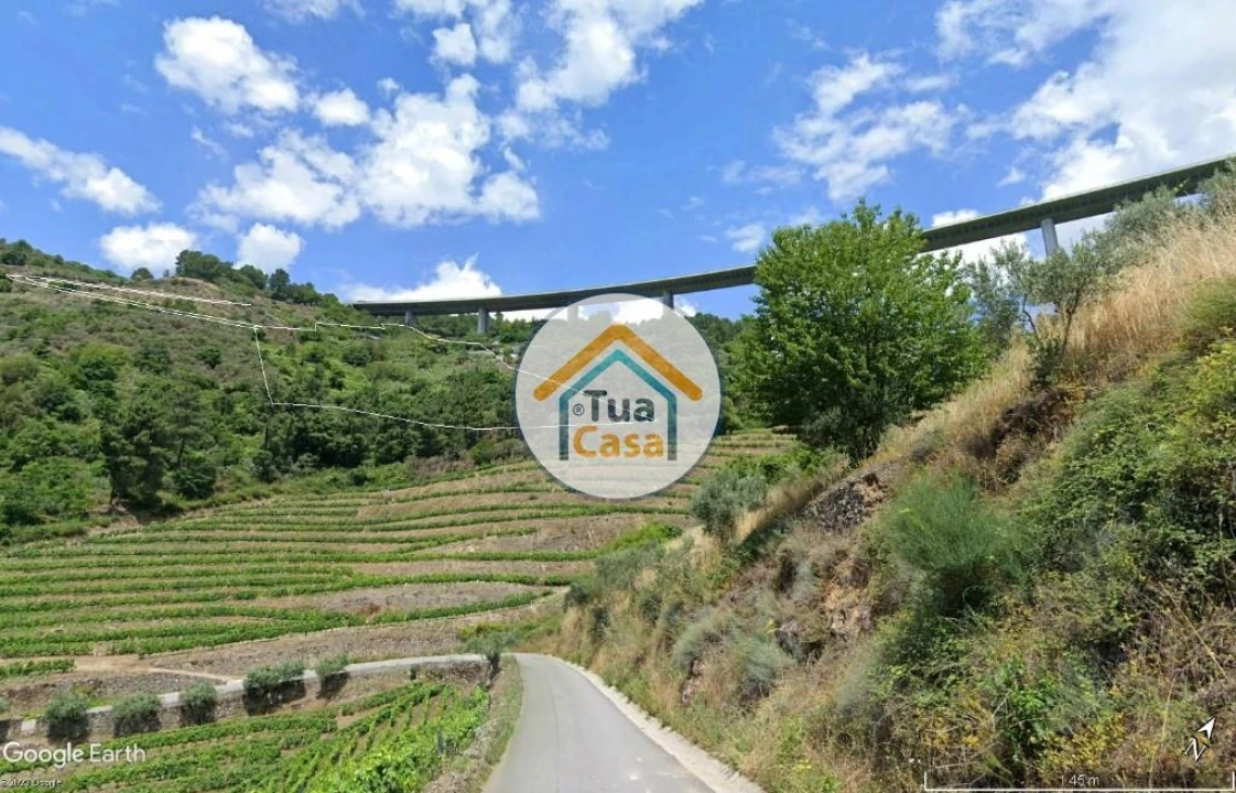 Terreno para Venda em Parada de Cunhos Foto 7