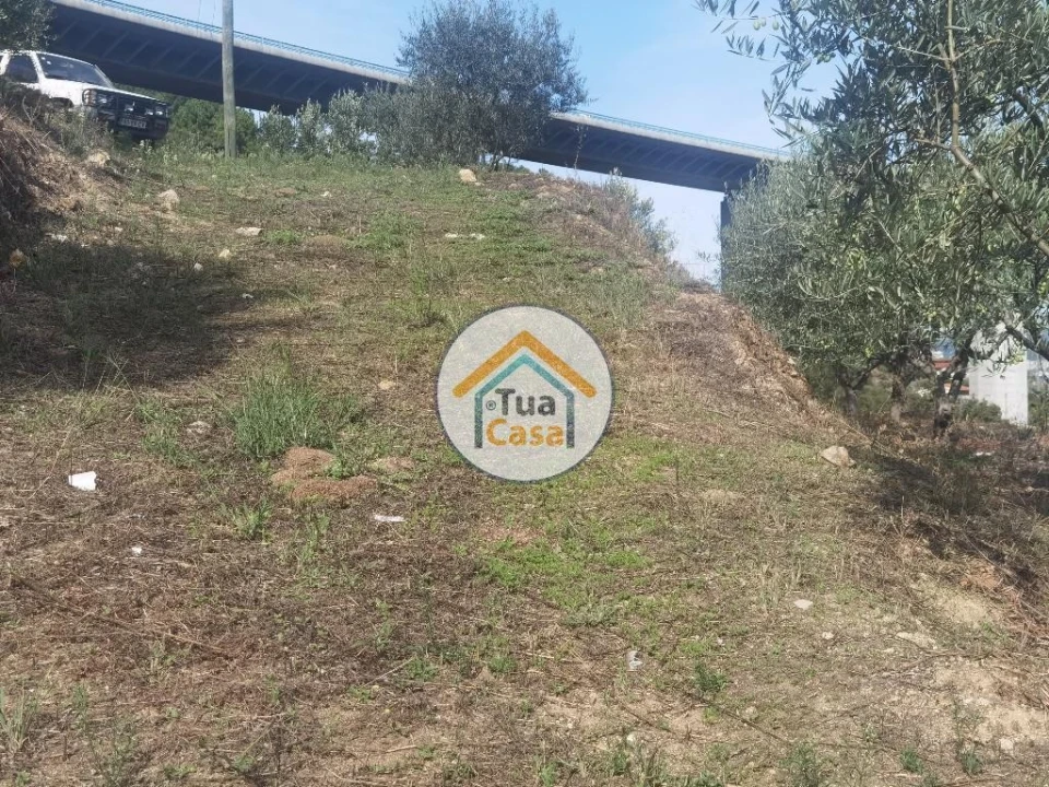 Terreno para Venda em Parada de Cunhos Foto 31