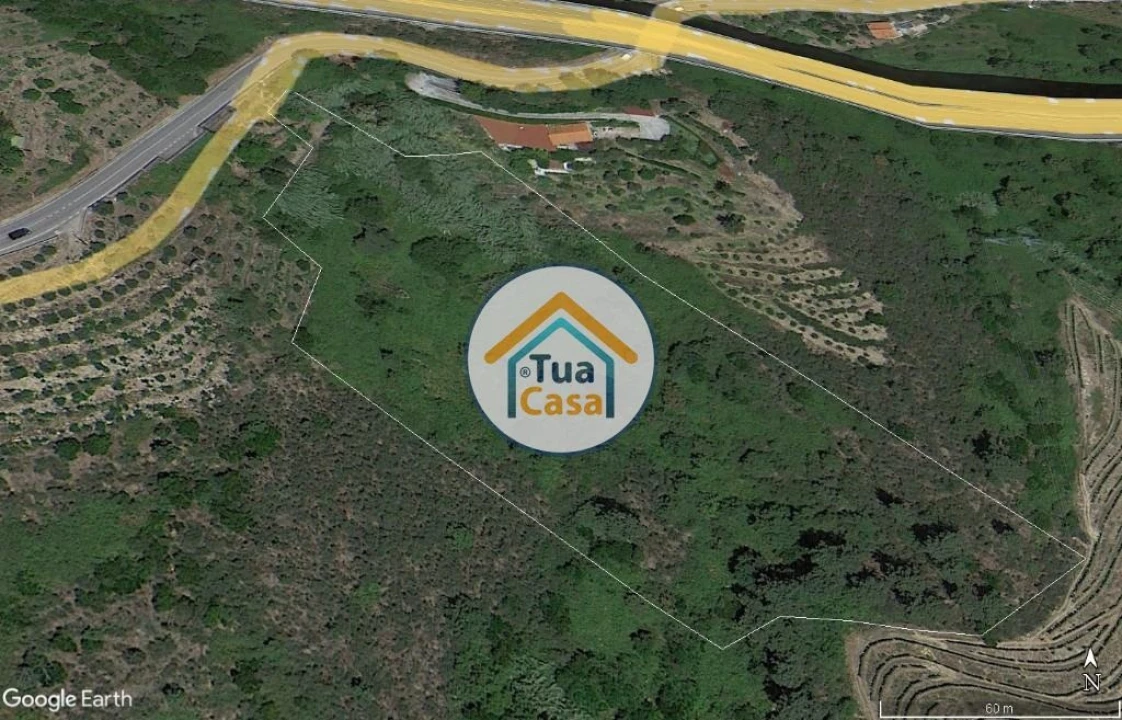 Terreno para Venda em Parada de Cunhos Foto 1