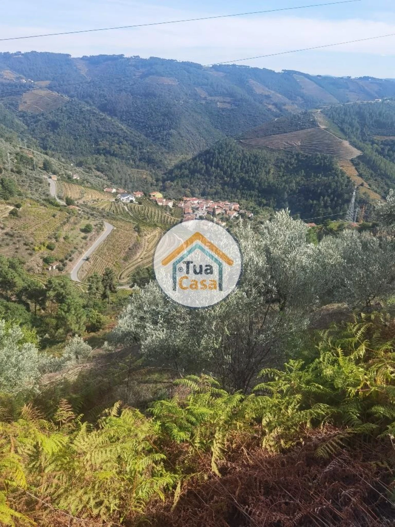 Terreno para Venda em Parada de Cunhos Foto 14