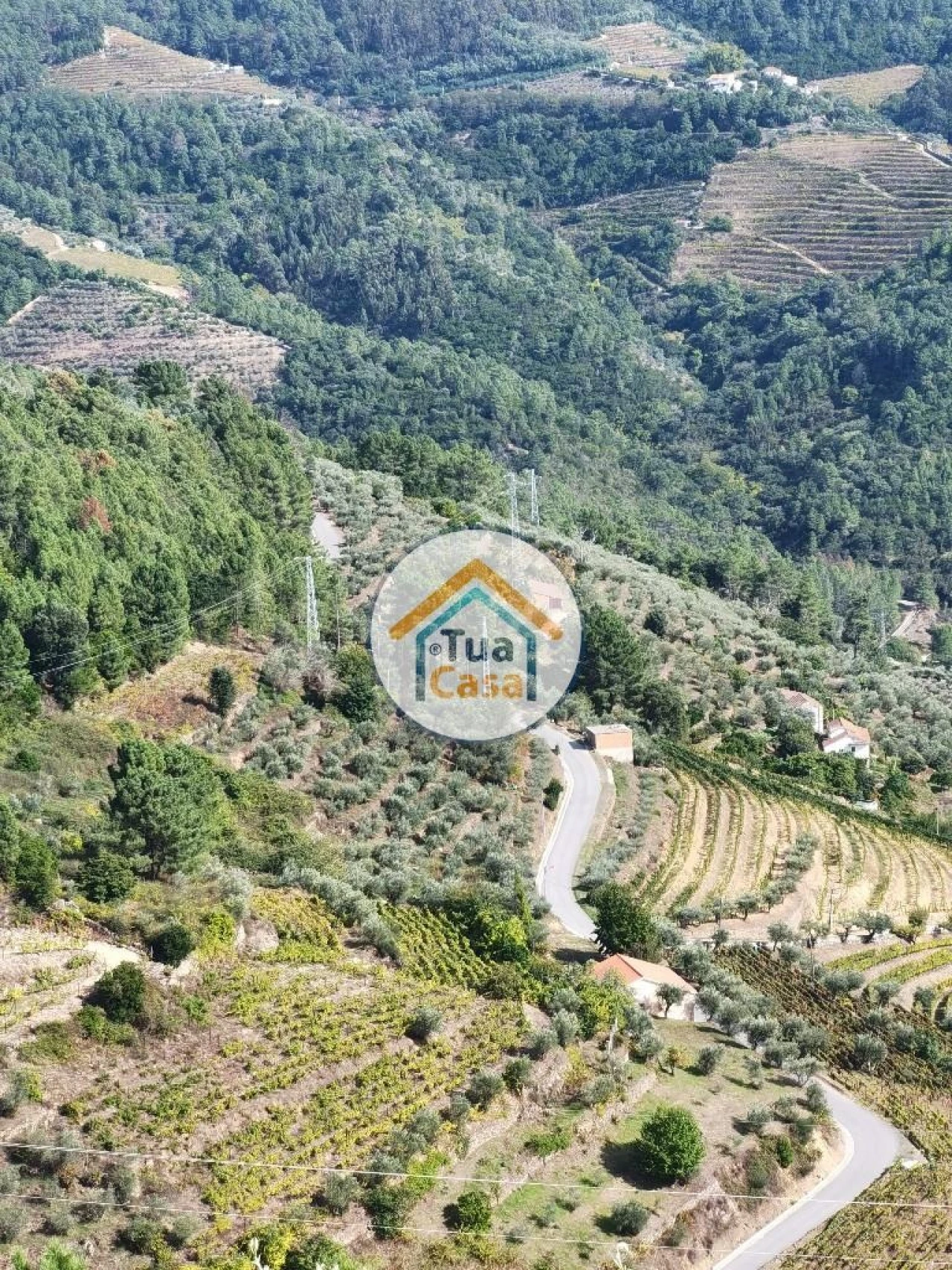 Terreno para Venda em Parada de Cunhos Foto 25