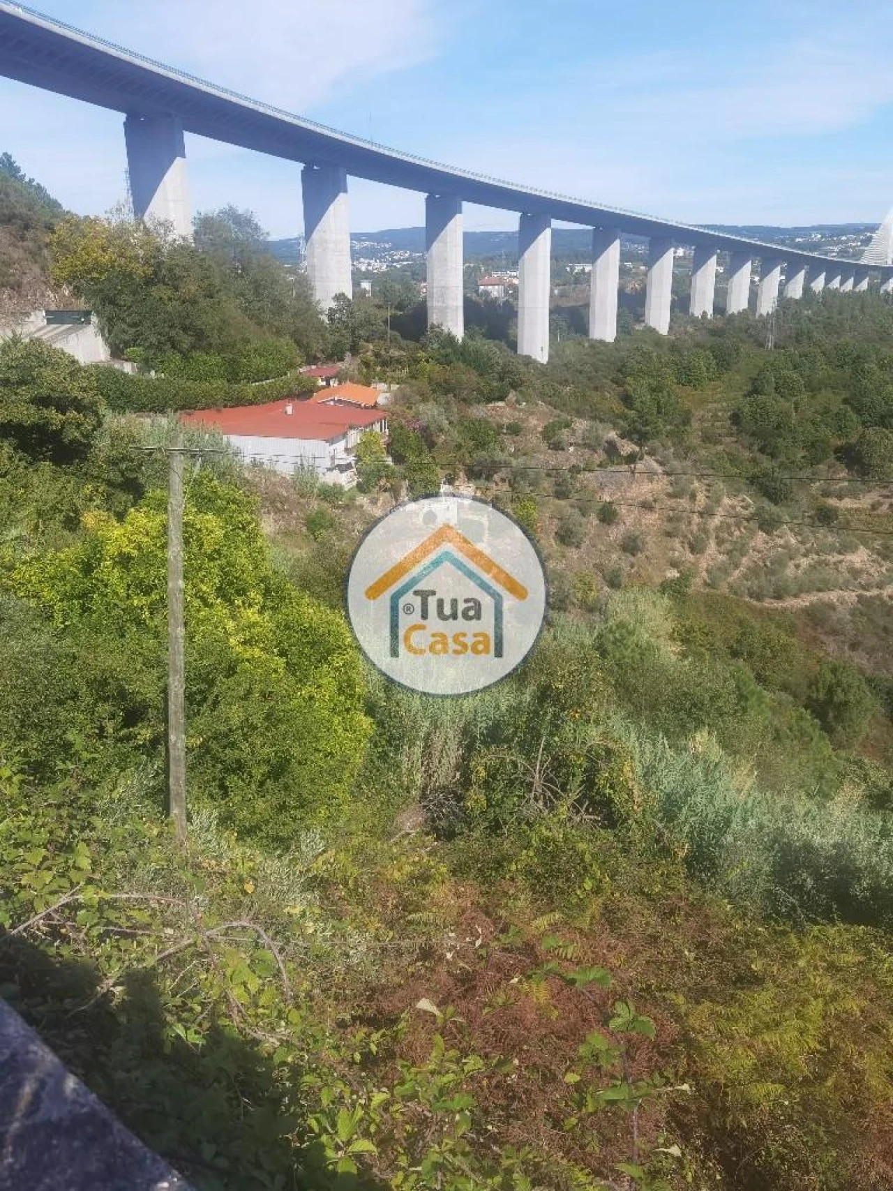 Terreno para Venda em Parada de Cunhos Foto 9