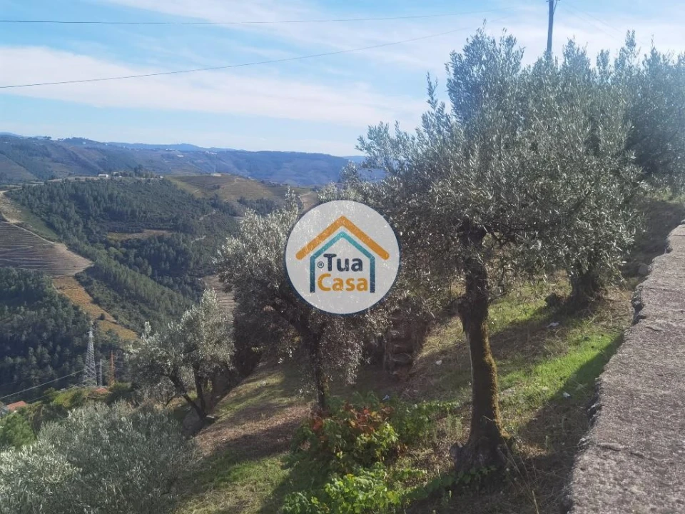 Terreno para Venda em Parada de Cunhos Foto 16