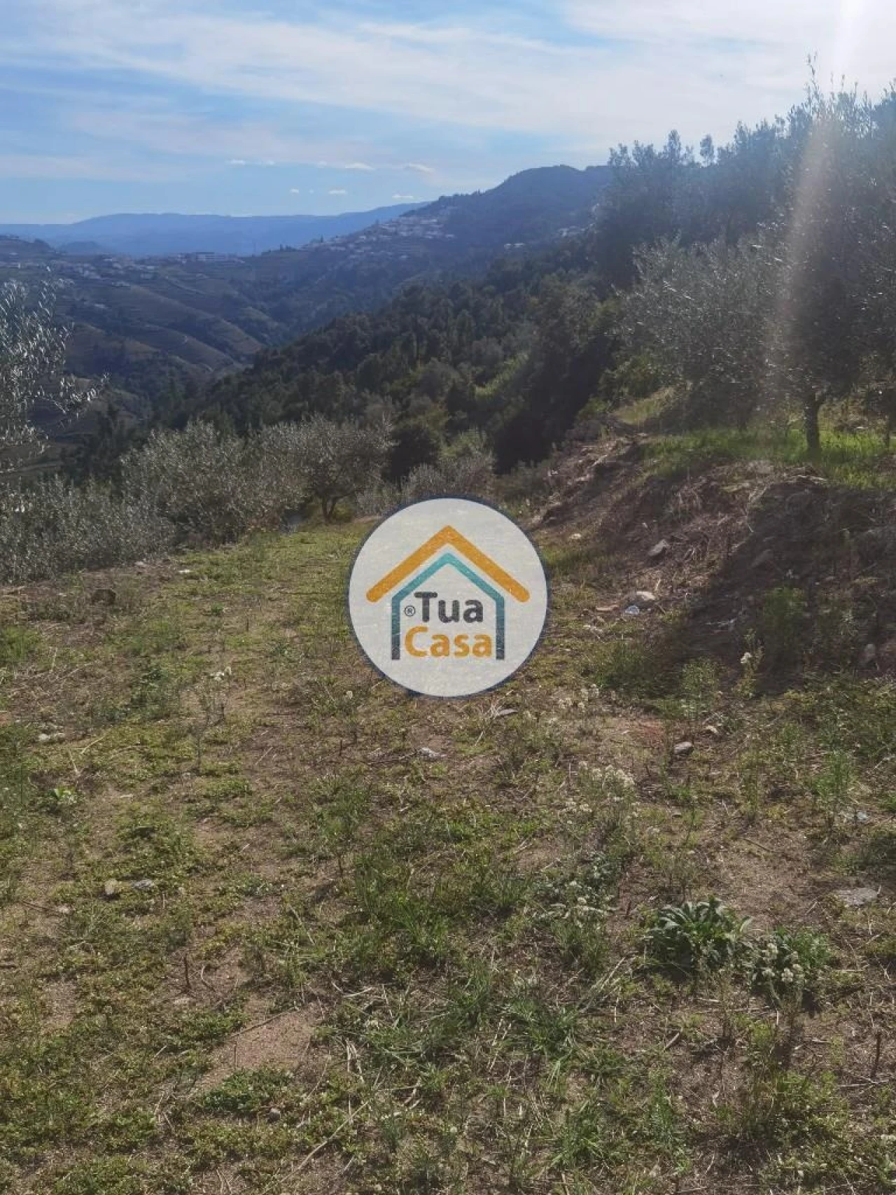 Terreno para Venda em Parada de Cunhos Foto 18