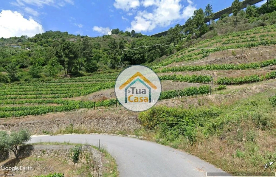 Terreno para Venda em Parada de Cunhos Foto 2